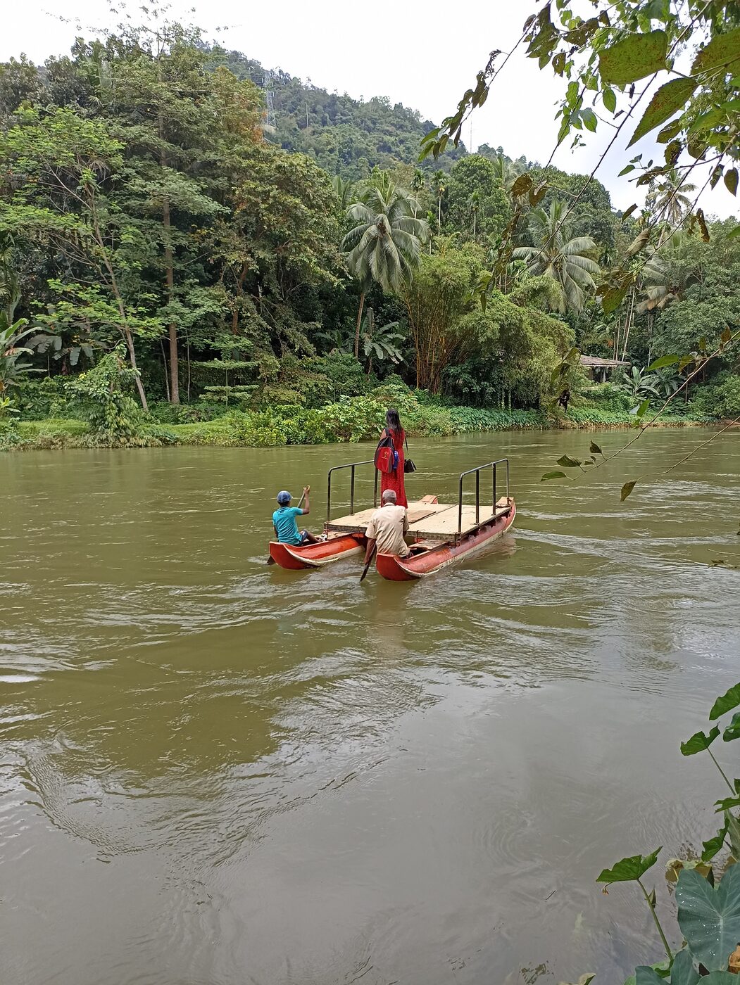 River boat ride through the lush green jungle of Sri Lanka